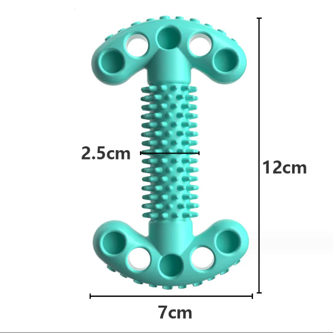 Dog Chewing Bone Shape Toys for Dental Health